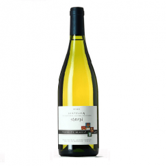 bottiglia sterpi vigneti massa